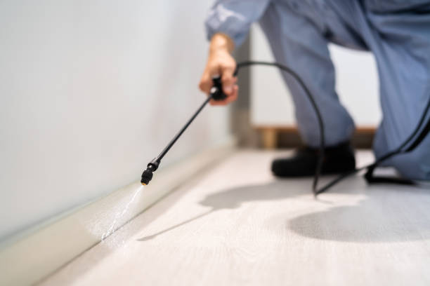 Certified termite inspector examining foundation in Johnstown
